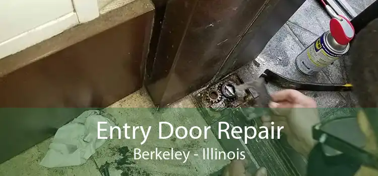 Entry Door Repair Berkeley - Illinois